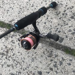 アジング楽しい!