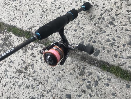 アジング楽しい!