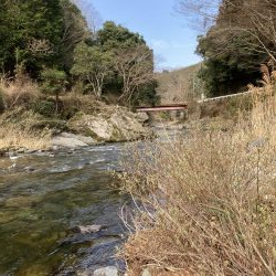 玉川 あまご解禁