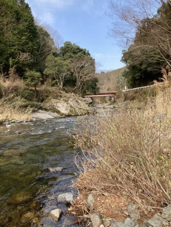 玉川 あまご解禁