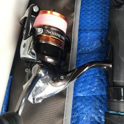 春アジングは楽しい!