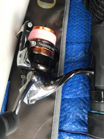 春アジングは楽しい!