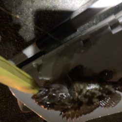 ええのんきました