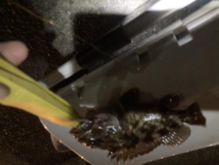 ええのんきました