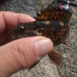 久しぶりの市役所裏