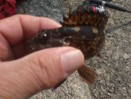 久しぶりの市役所裏