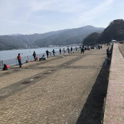 記録更新ならず