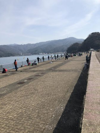 記録更新ならず