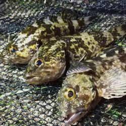 小型メタルジグ