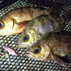 表層風ドリフト