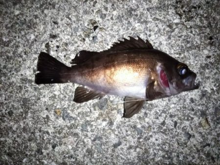 上げ潮に変わったタイミングで