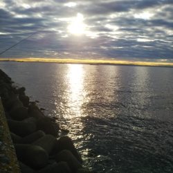 スレ掛かりのみ