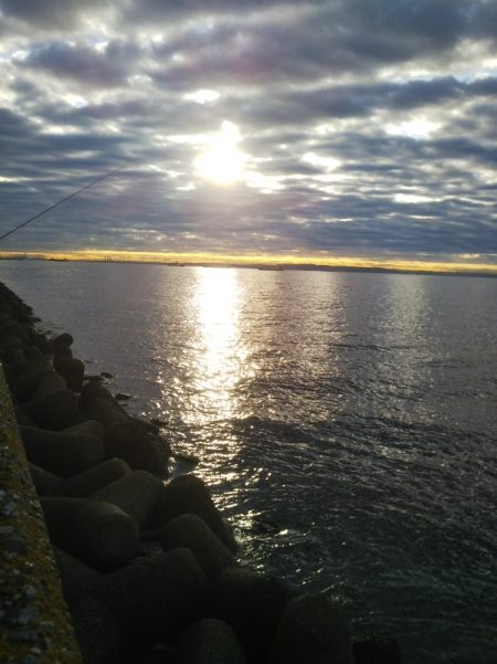 スレ掛かりのみ