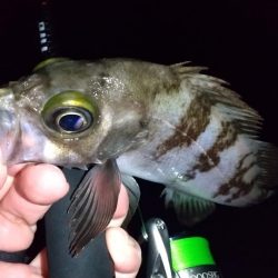 ライトゲームで3目