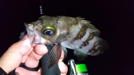 ライトゲームで3目