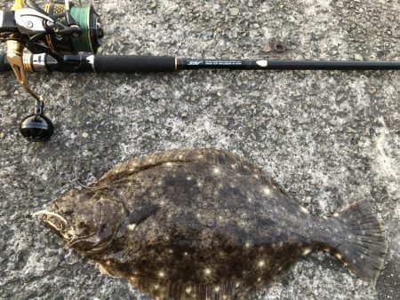 オリジナルベイト