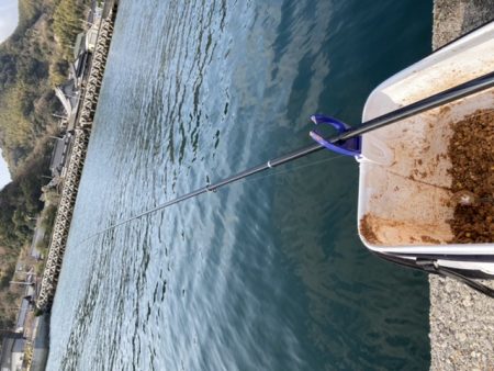 チヌ・アイナメ・カサゴ