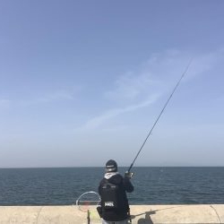 暖かく釣り日和