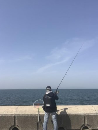 暖かく釣り日和