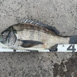 イチノ兄弟、釣果！