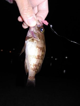 激渋メバリング