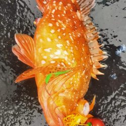 ネギング　五目釣り