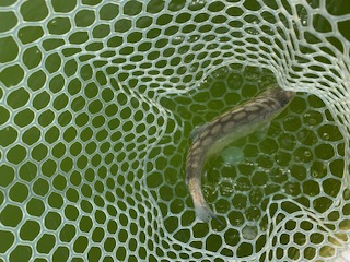 岸和田フィッシングパーク　