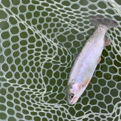 岸和田フィッシングパーク　そろそろ数釣りは難しい