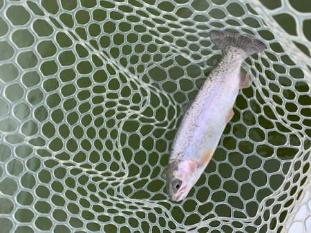 岸和田フィッシングパーク　そろそろ数釣りは難しい