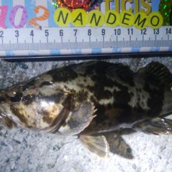 釣りデビュー 103日目