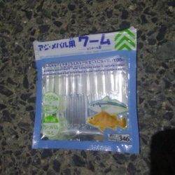 釣りデビュー　113日目