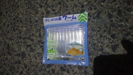 釣りデビュー　113日目