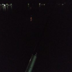 プラグでアジング