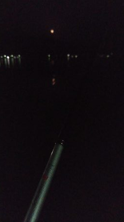 プラグでアジング