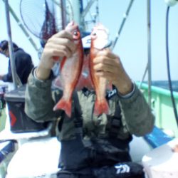 康仁丸・餌釣り・ジギング釣り果