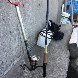 久しぶりのプチsalt water game