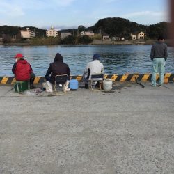 アジ48匹、ヒイラギ17匹、フグ1匹