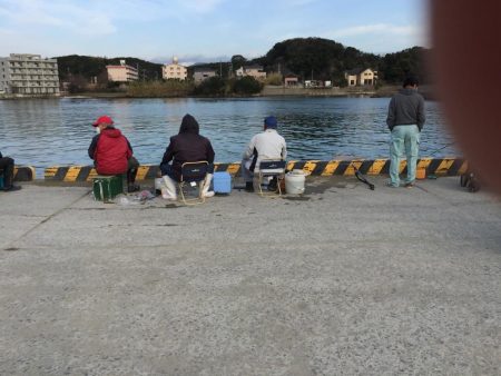 アジ48匹、ヒイラギ17匹、フグ1匹