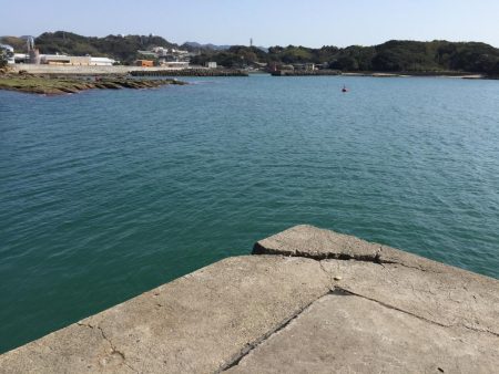 アジ良型（27㎝）を含む20匹