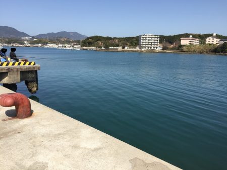 良型アジ含む20匹