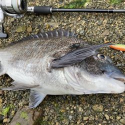 A.P.P フィッシングガイドサービス