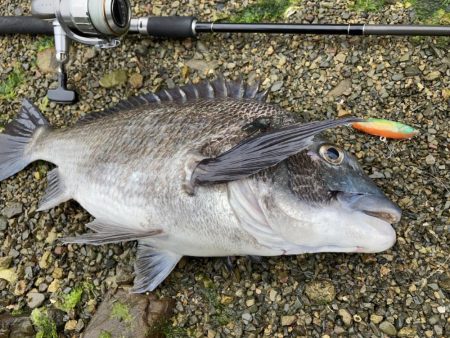 A.P.P フィッシングガイドサービス