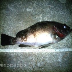 ファミリーフィッシング