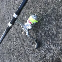 飲ませでメジロ2本GET