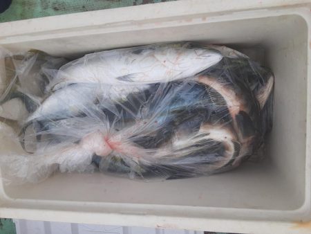 佐渡便五目ジギング&タイラバ