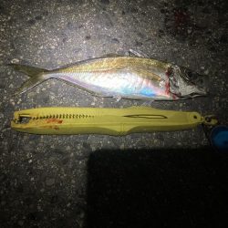 ええのんきました