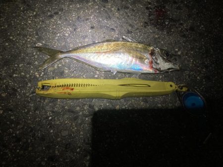 ええのんきました