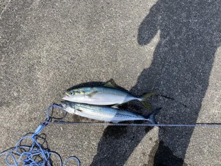 ４投で４ヒット！なのに魚は２匹だけ？（笑）