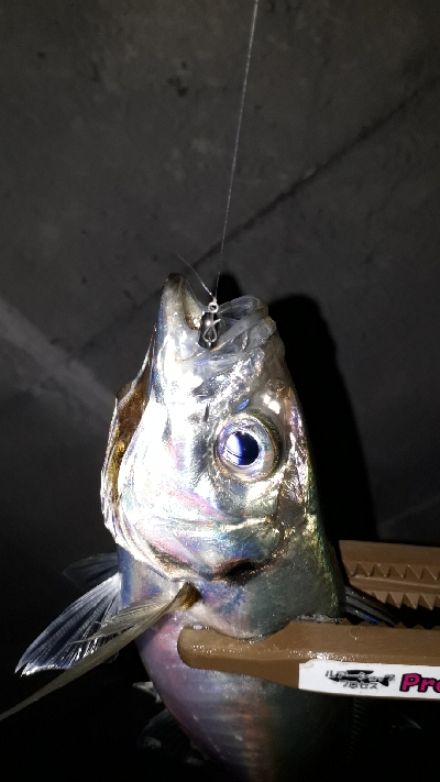 タイミングよく、ツ抜け