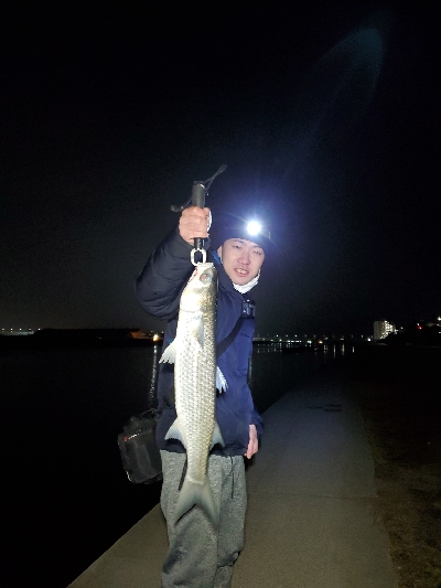 シーバスどこ行った(笑)